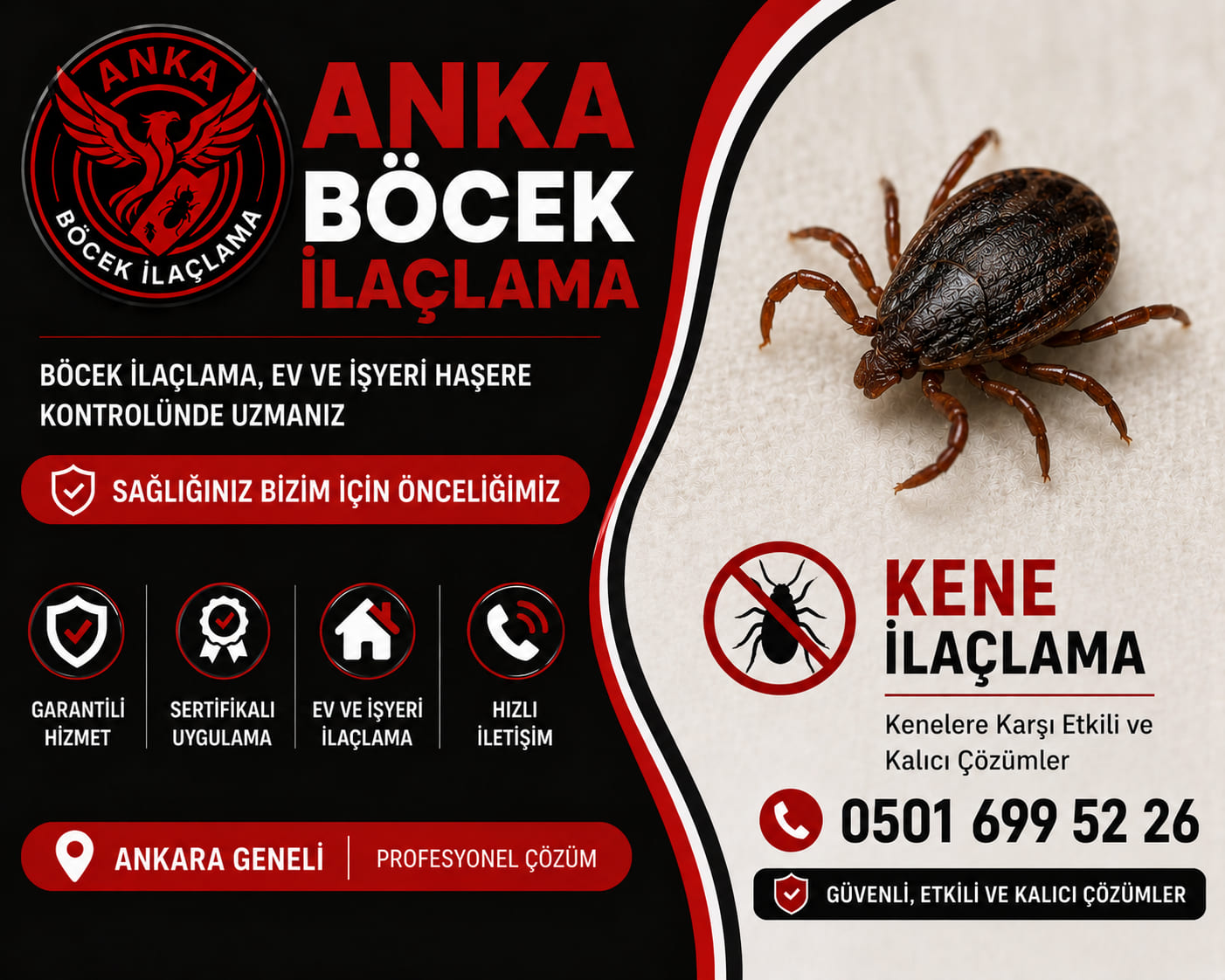 Ayaş Kene İlaçlama